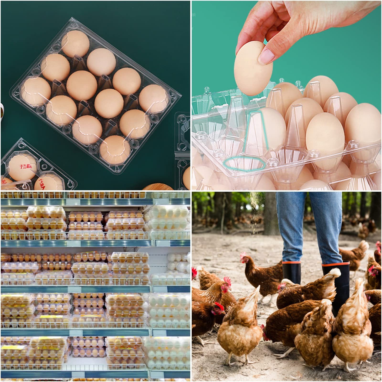Plastic Egg Cartons Bulk 48 Packs Empty Clear Plastic Egg Carton Holds Up To 12