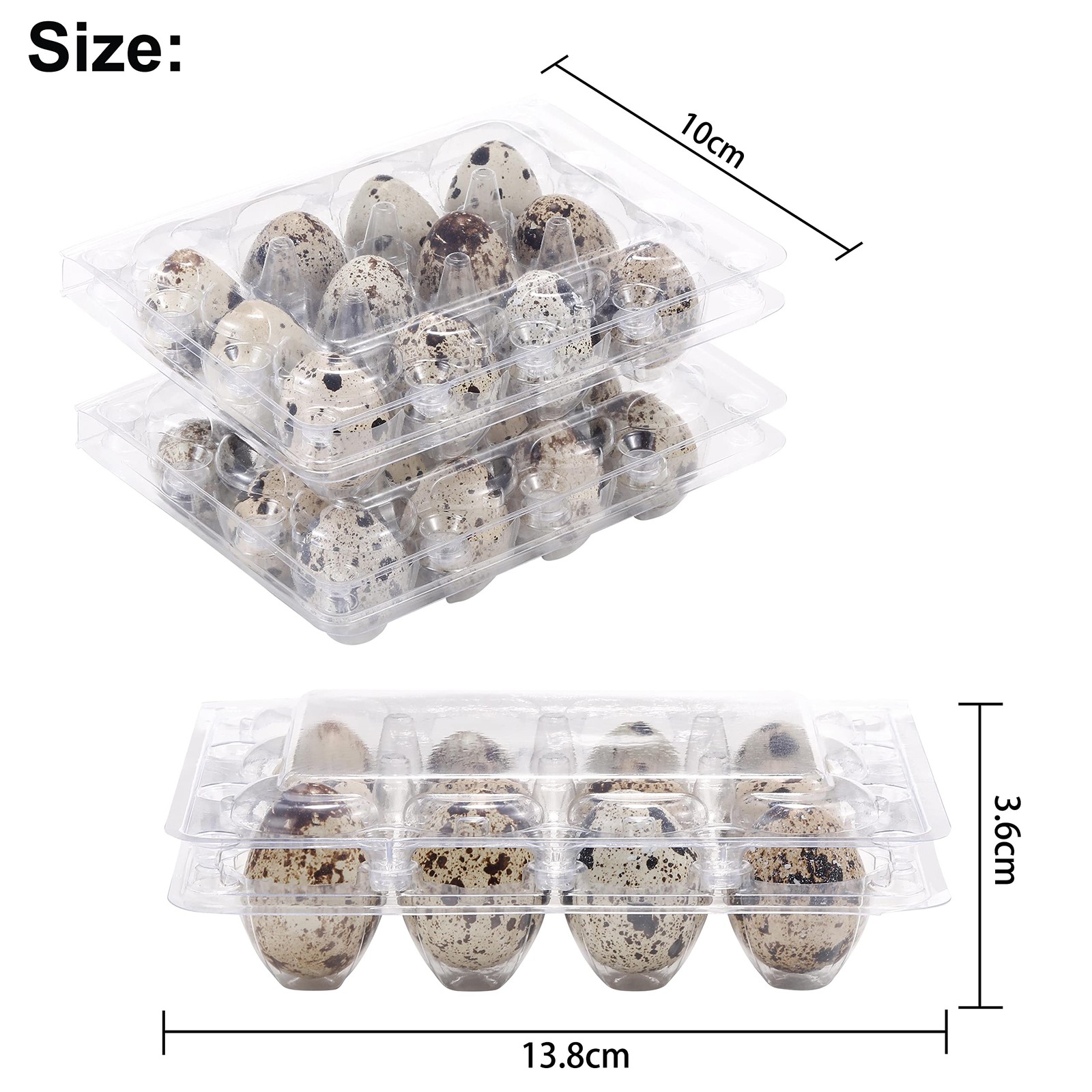 60 PCS Quail Egg Cartons 3×4 Style 12 Count Square Plastic Tray Refrigerator
