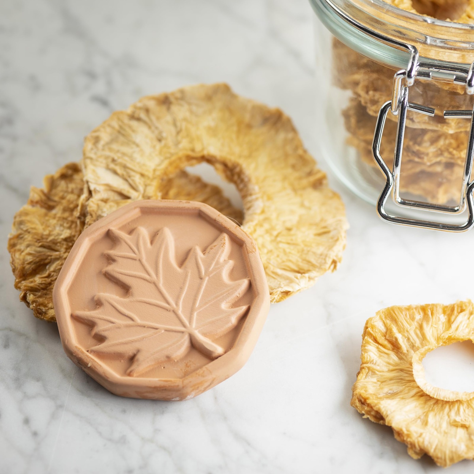 11873 Brown Sugar Saver, Terra Cotta Ceramic with Decorative Leaf Design, Reu…