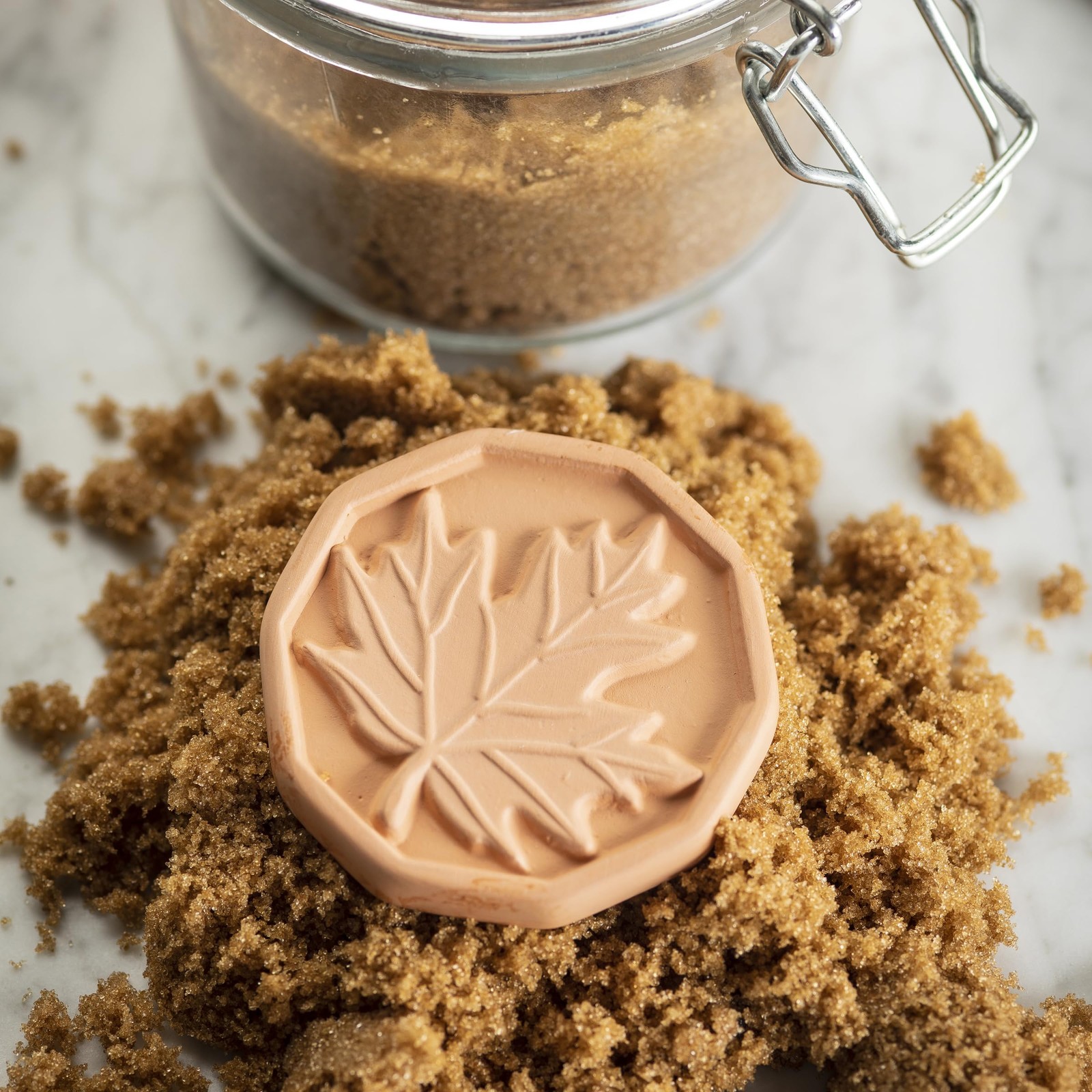 11873 Brown Sugar Saver, Terra Cotta Ceramic with Decorative Leaf Design, Reu…