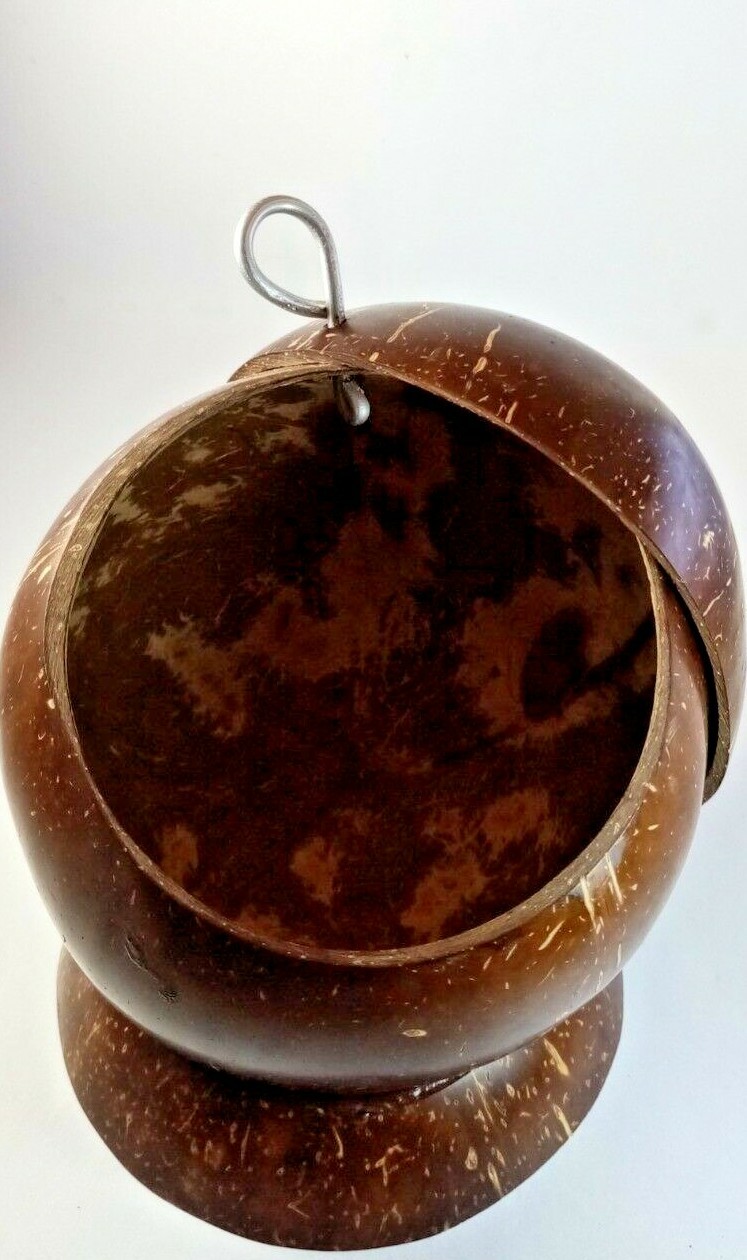 Salt Container with Spoon Coconut Shell Handmade Kitchen Zero Waste Eco-friendly