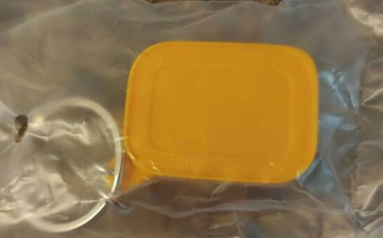 Tupperware Keychain Freezer mates Collectible Sheer Base Papaya Orange Seal New
