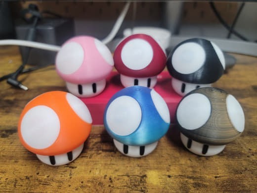 Small Mushroom Storage Containers – 6