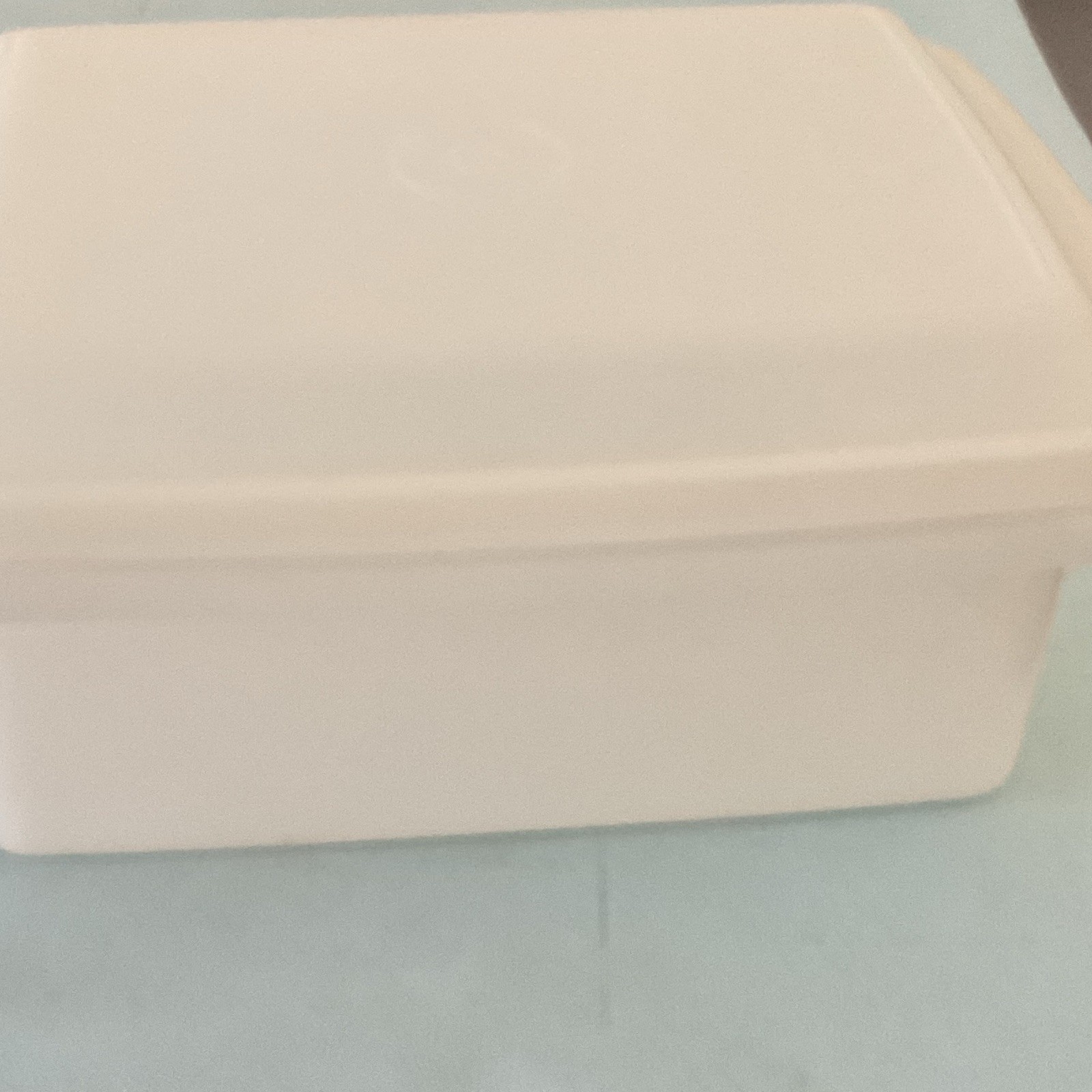 Tupperware 1254 2pc 1qt Rectangle Plastic Food Storage w/ Snap Lid, White
