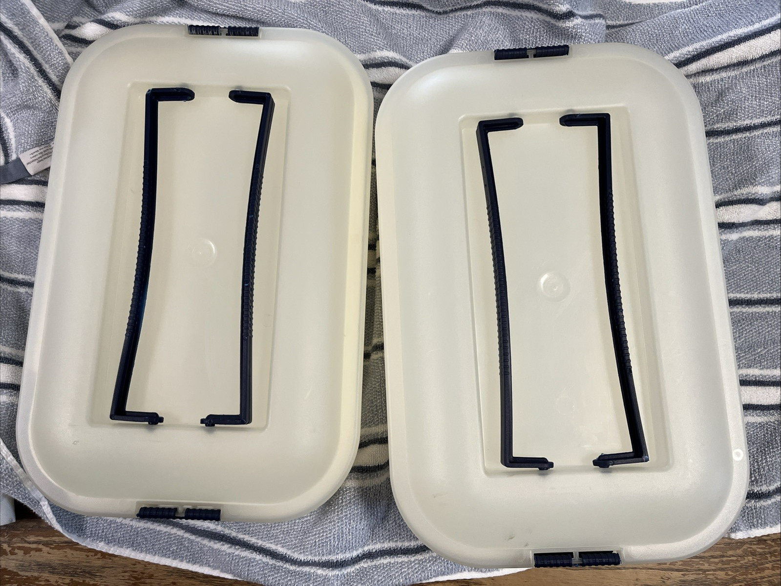 (2) Pre-owned Design Iris Schwartz 16″ X 10″ X 3.5″ Plastic Container W Handles