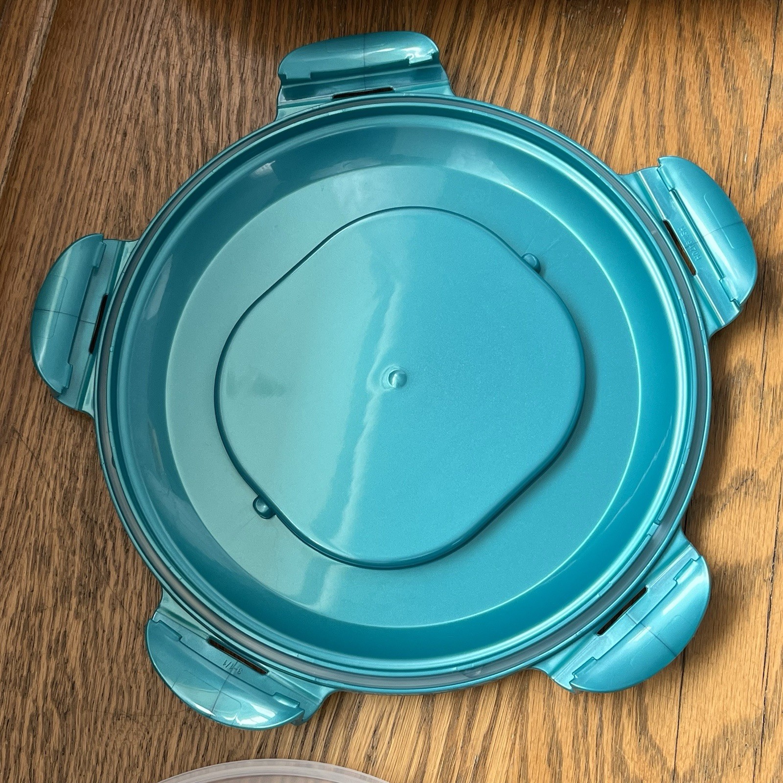 Lock N Lock Teal Divided Container Fruit & Veggie Condiment Food Storage