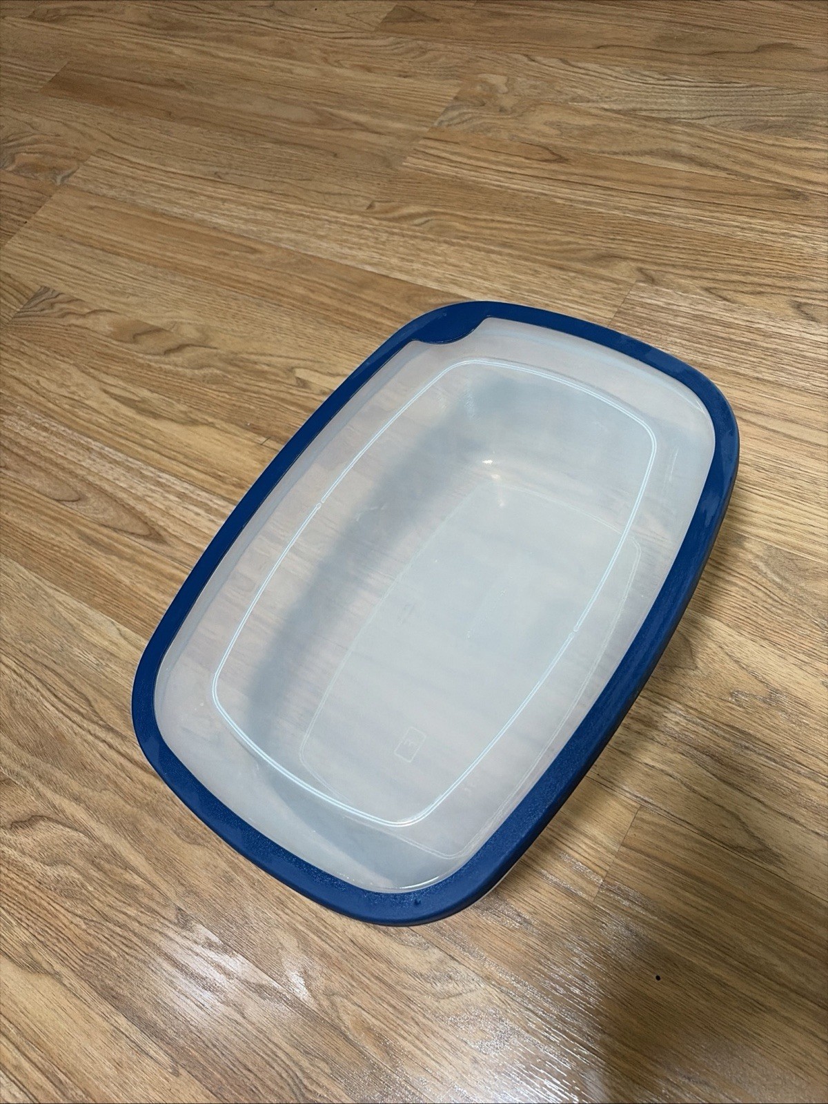 Rubbermaid 7.6L “E” Container 2 Gallon Clear Blue Rim Lid