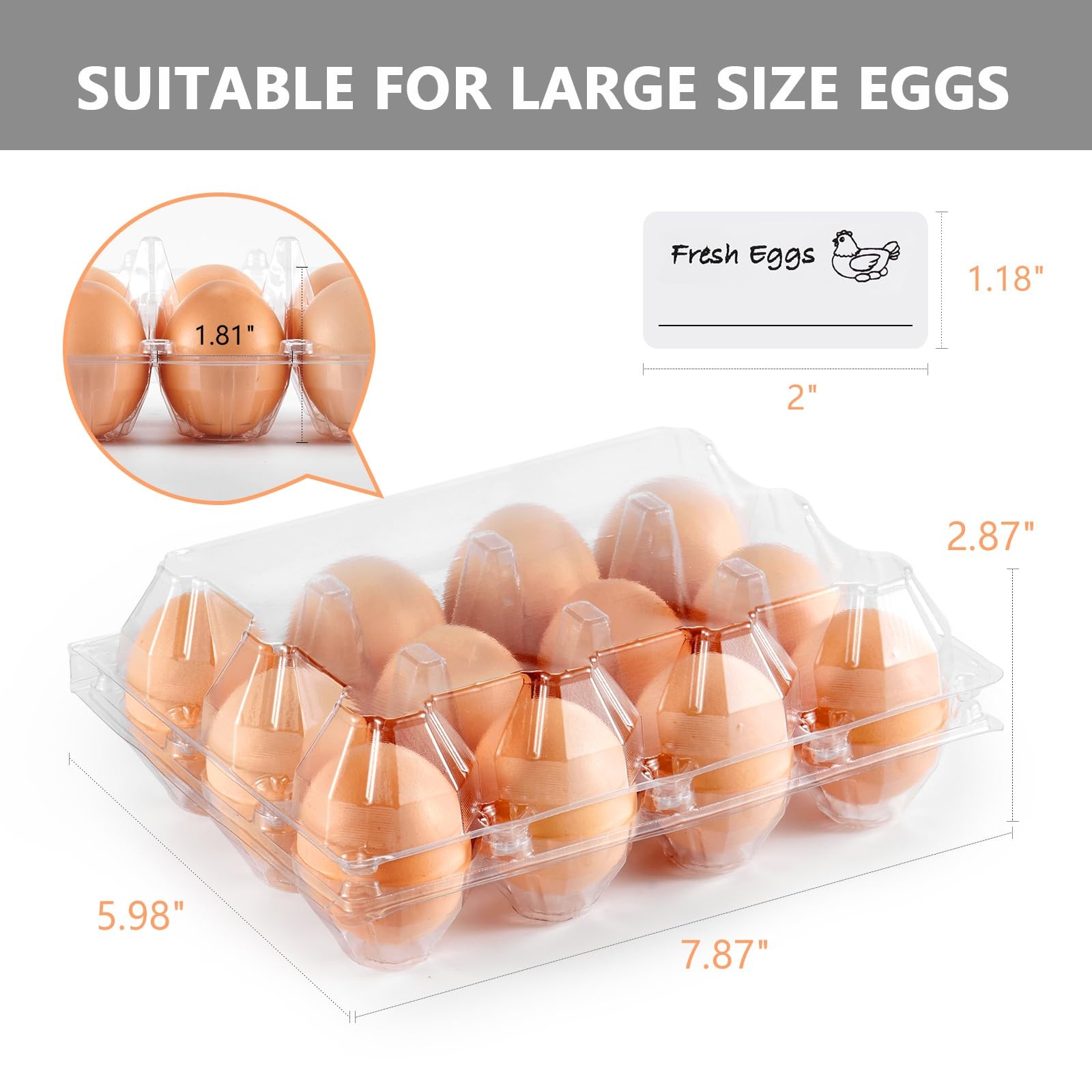 60 PCS Plastic Egg Carton Reusable Bulk Fresh Large 1 Dozen Tray Clear Holder