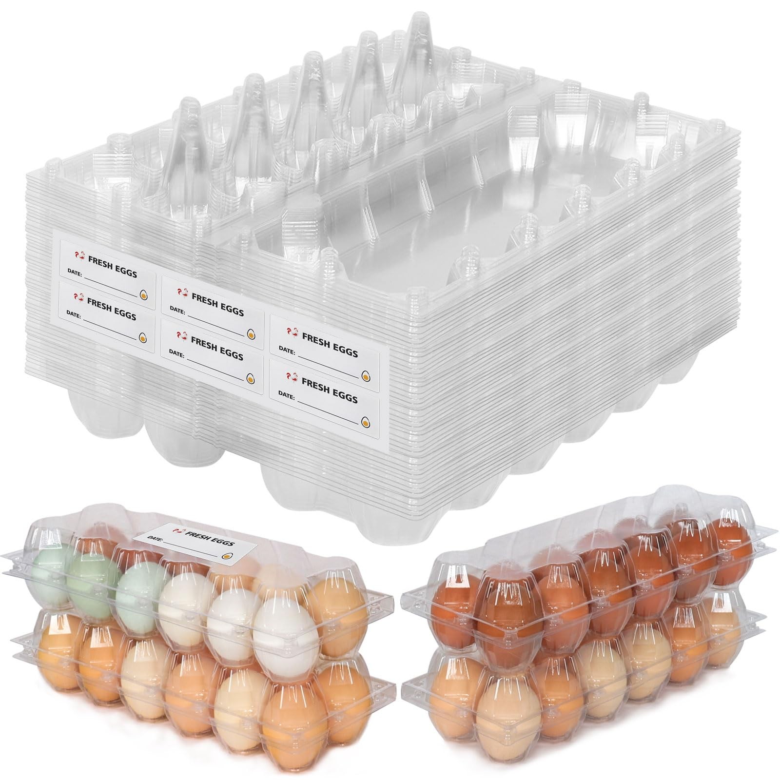 60 PCS Large Clear Egg Cartons 12 Count 2×6 Grids Design Plastic Container Farm