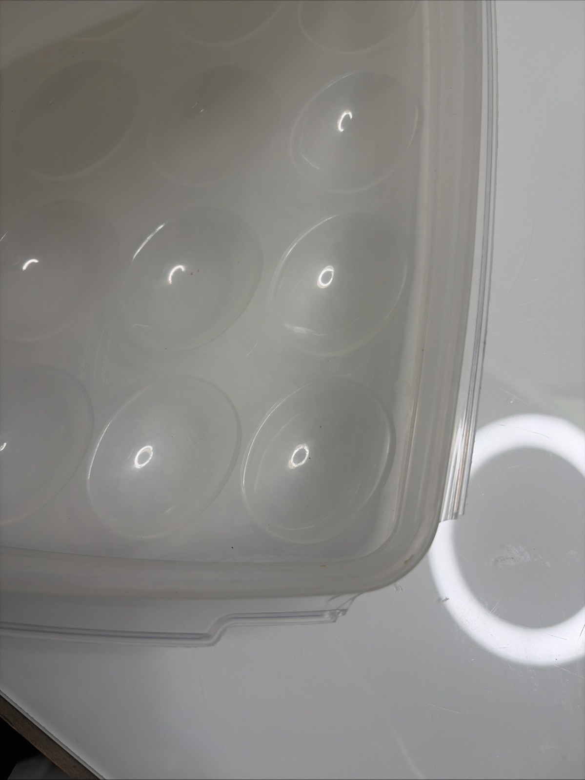 Rubbermaid Servin Saver Deviled Egg Keeper Carrier 20 Eggs #7 Almond