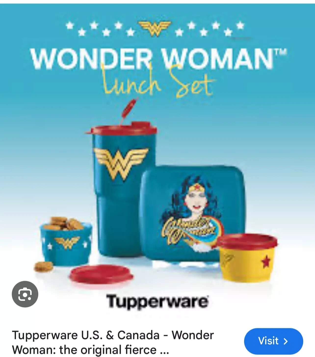 Tupperware Wonder Woman Sandwich Keeper Hinged Lunch To Go Snap Closure Marvel