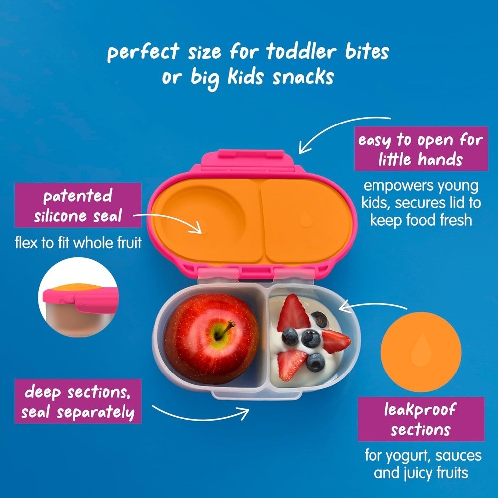 Leak Proof Mini Bento Box for Kids and Toddlers 2 Pack 2 Compartment Snack