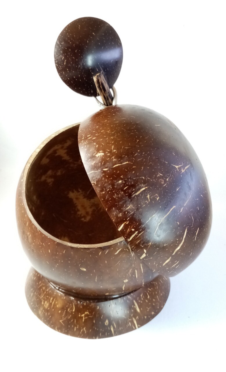 Salt Container with Spoon Coconut Shell Handmade Kitchen Zero Waste Eco-friendly