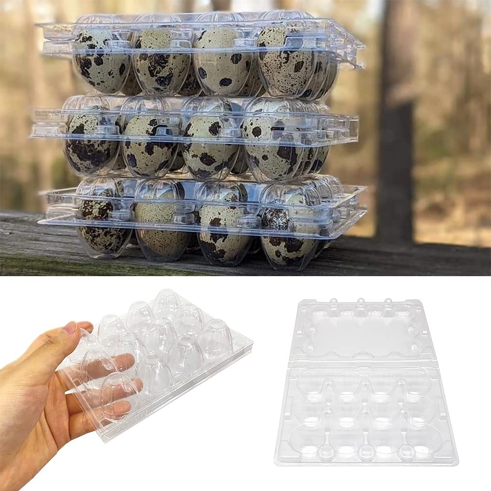 50 Pcs Quail Egg Cartons,12 Grids Small Egg Storage Holders,Quail Eggs Bulk Cart