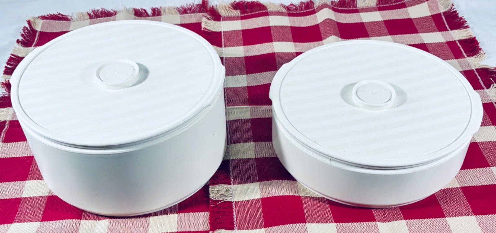 Set of 2 Aladdin Insulated Hot/Cold Tempreserve Bowls w/ Lids ~ 1.06 + 2.11 Qts