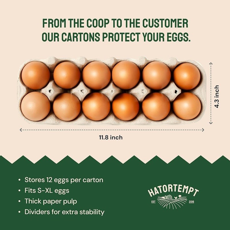 48 Pack Biodegradable Egg Cartons Storage Transport Kitchen Farmers Market New