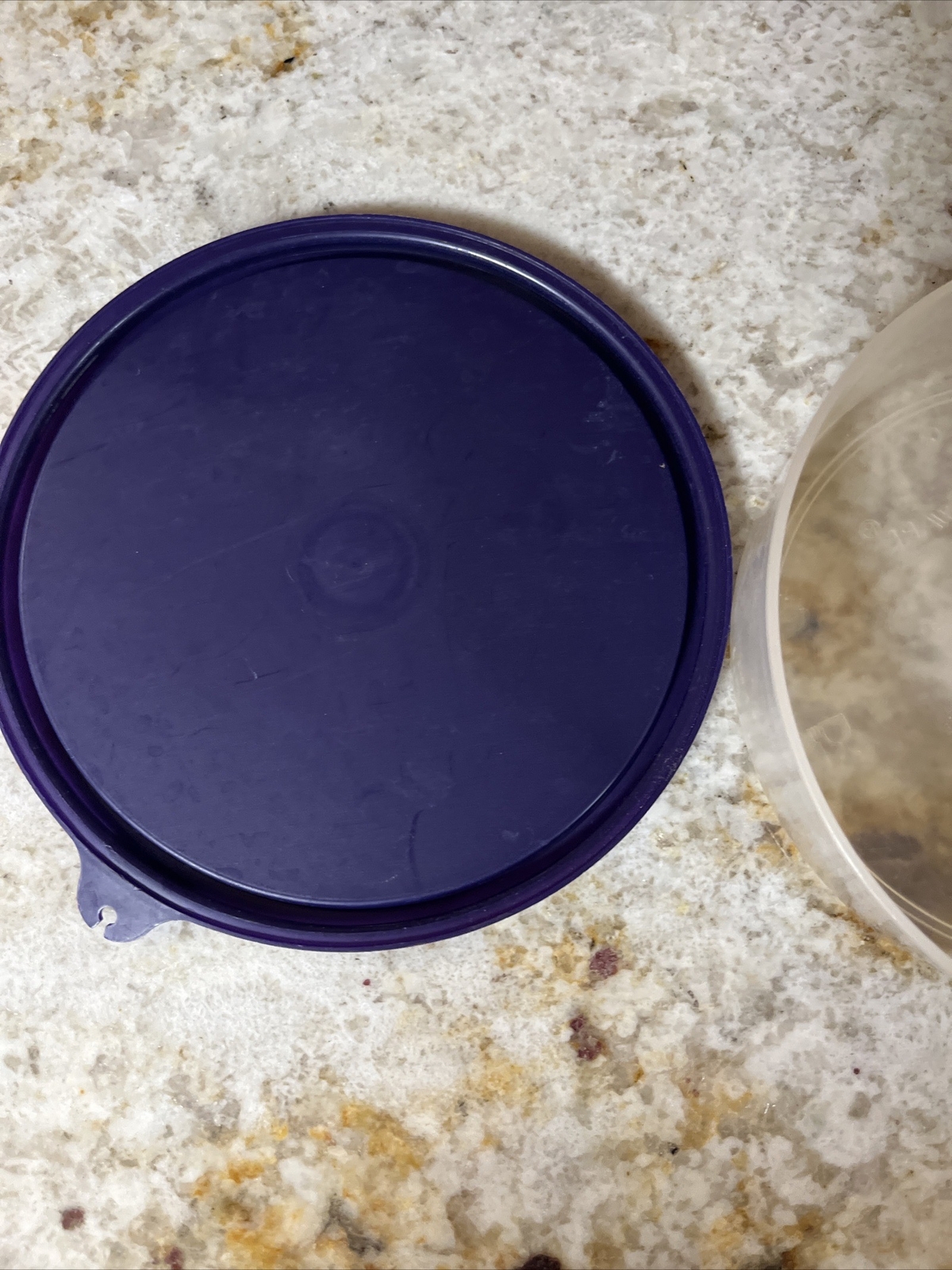NEW Tupperware Clear Cereal Ice Cream Bowls with Purple Lids (SU106)