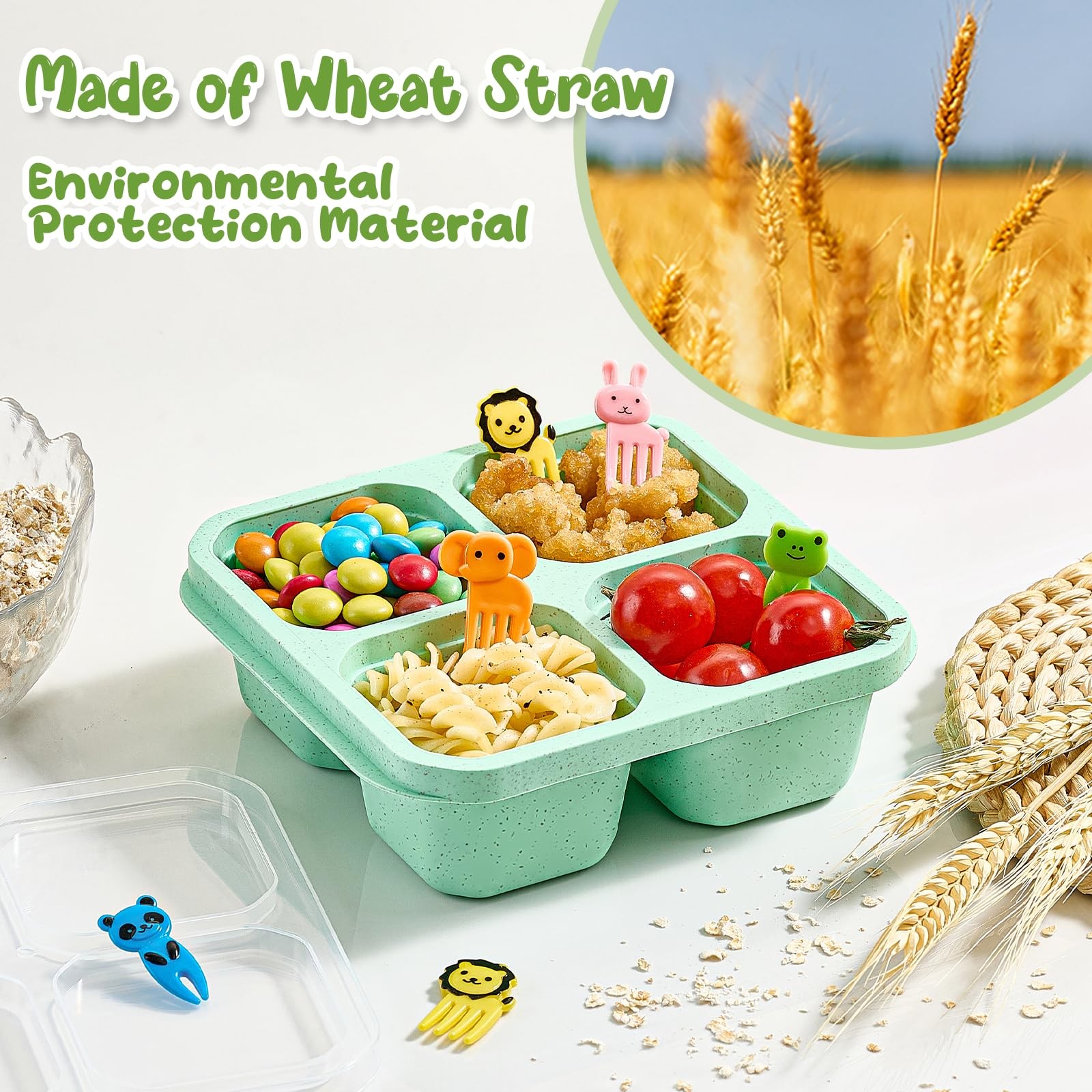 Bento Snack Boxes 4 Pack, Boxes, Wheat (Green/Blue/Pink/Beige)