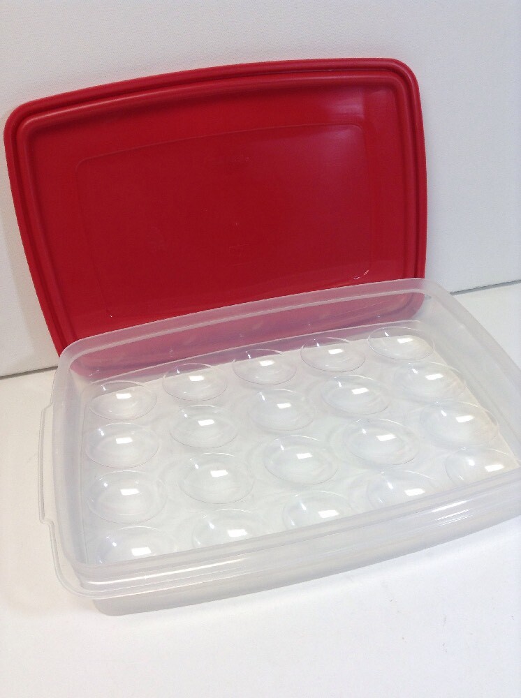 Rubbermaid Plastic Egg Container Holds 20 Eggs Clean with Red Lid