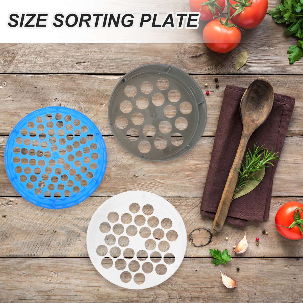 6pcs Fruit Grading Ruler: Blueberry Diameter 6 Sizes Measurement Tool