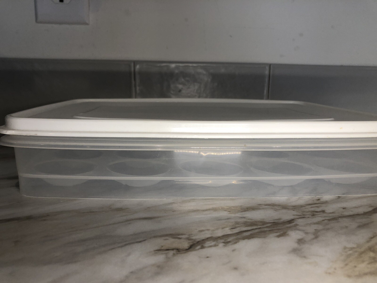 Rubbermaid Egg Keeper Storage Holds 20 Jumbo Eggs 8.5 x 12.8″ USA
