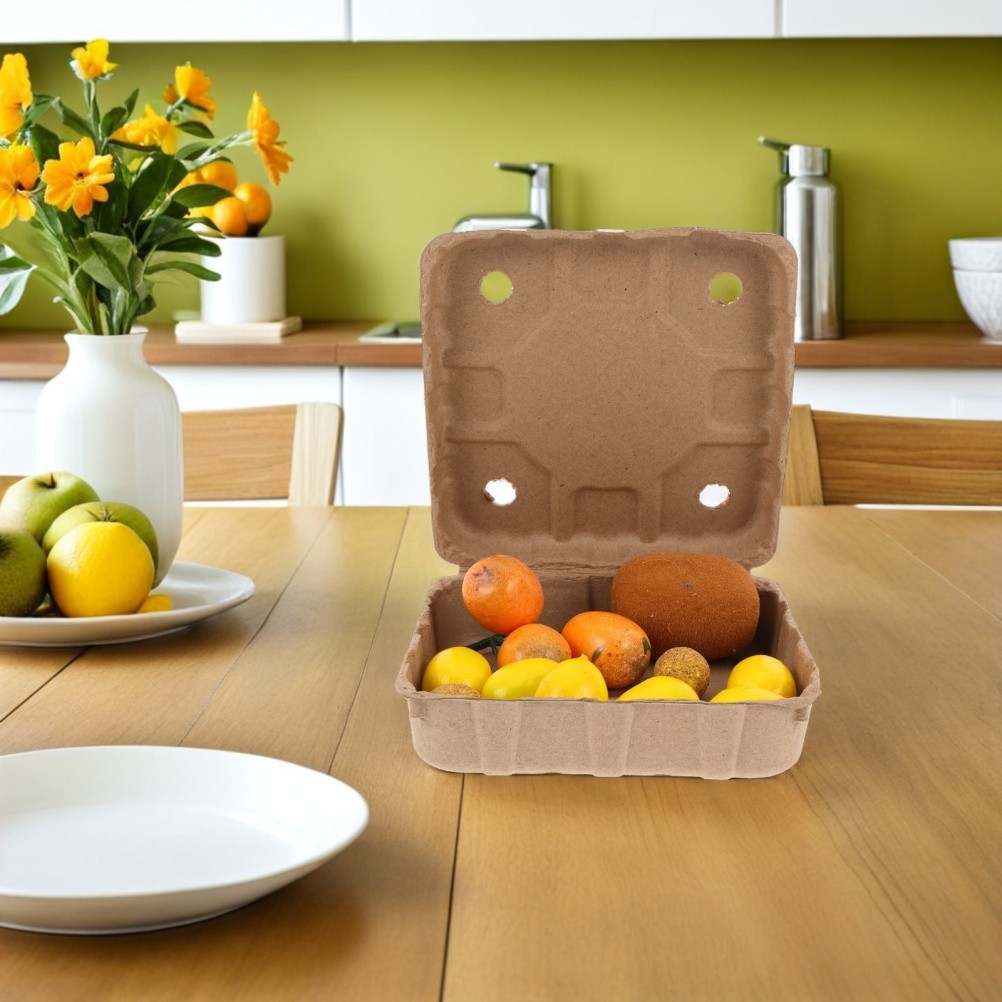 10 Pcs Biodegradable Strawberry Box Paper Cartons Blueberry Storage Basket