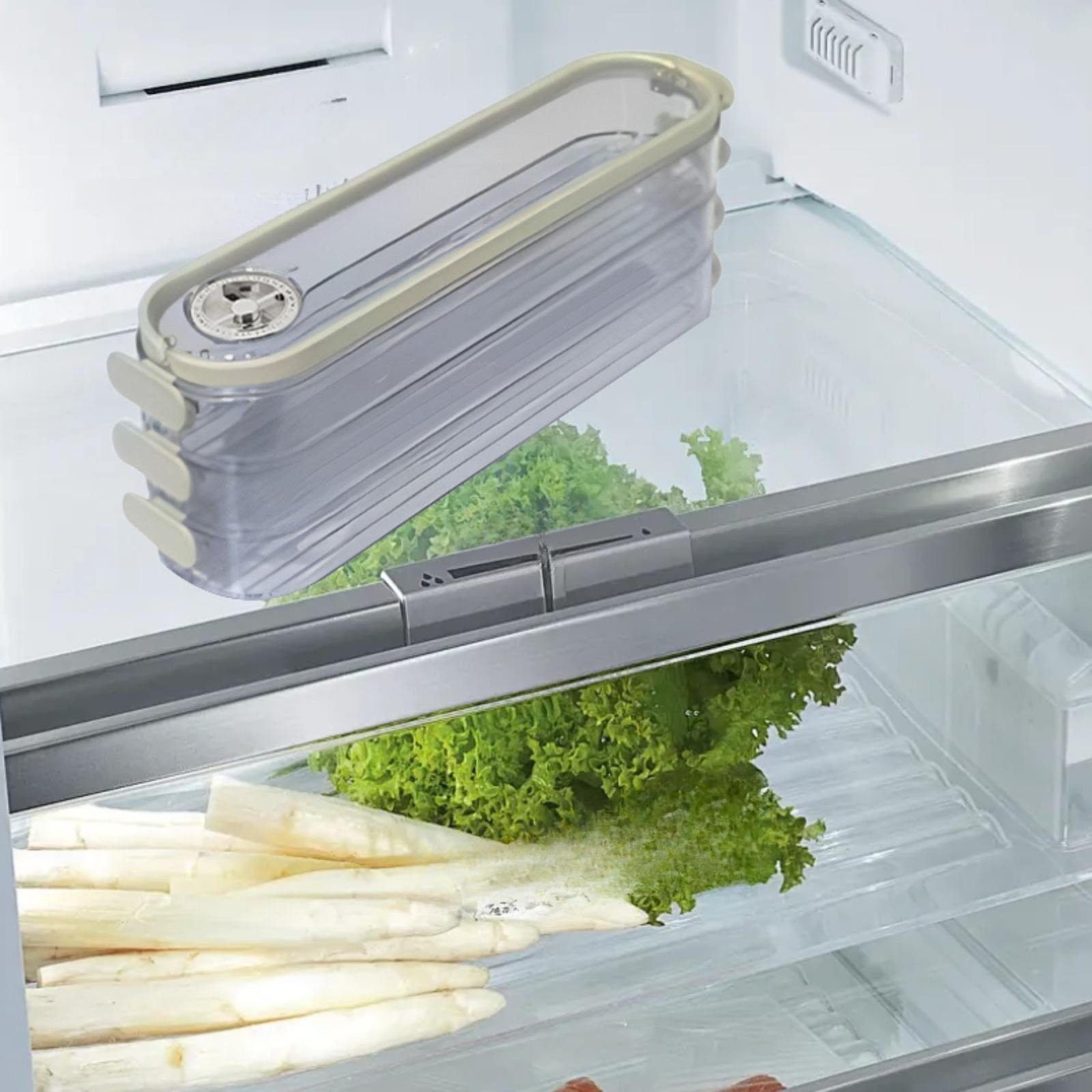 Food Storage Container Dumpling Storage Box Portable Versatile Stackable for