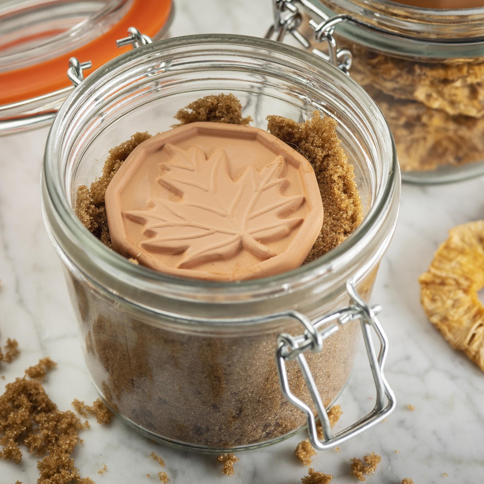 11873 Brown Sugar Saver, Terra Cotta Ceramic with Decorative Leaf Design, Reu…