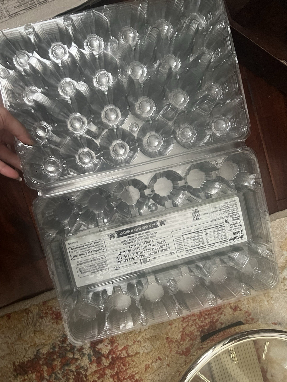 10 PCS +3 Plastic Egg Cartons Cheap Bulk 24 Count Clear Blank Egg Cartons New