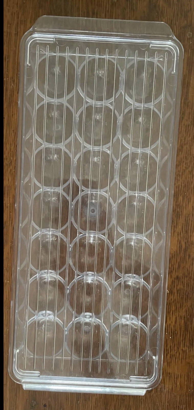 21 Egg Holder Carrier w Lid Clear Plastic Refrigerator Storage USED GREAT SHAPE