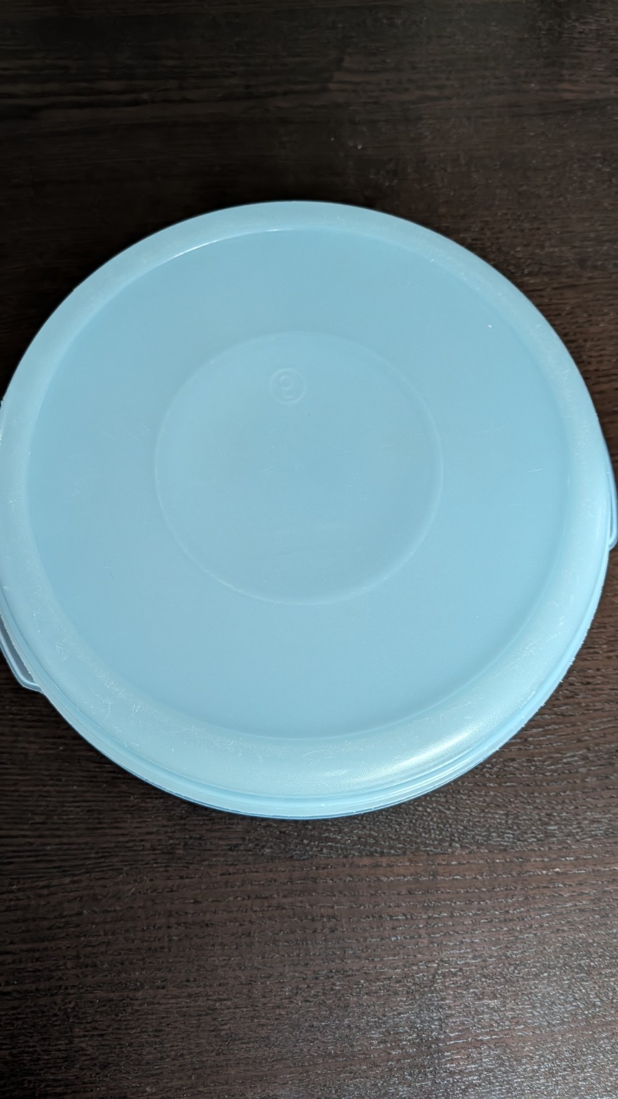 Rubbermaid 22 Cup Sheer Blue Round Servin Saver Bowl #5 with Blue Lid