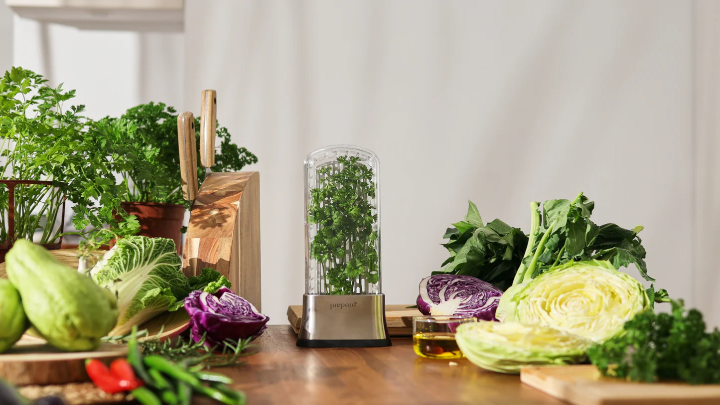 2016 Brand New Prepara 🌿 Stainless Steel Container Fresh Herb Saver