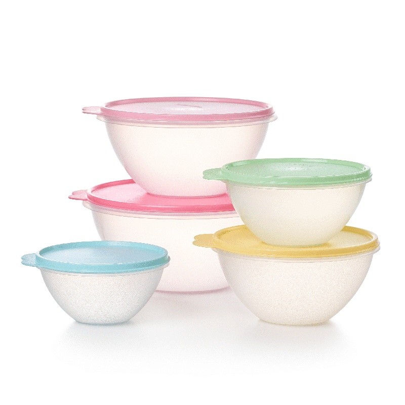 Wonderlier 5 Bowl Set Leakproof Food Storage Containers Nesting BPA Free New