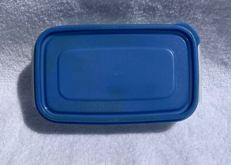 Vintage Rubbermaid Servin Saver Storage Container #10 Blue Lid