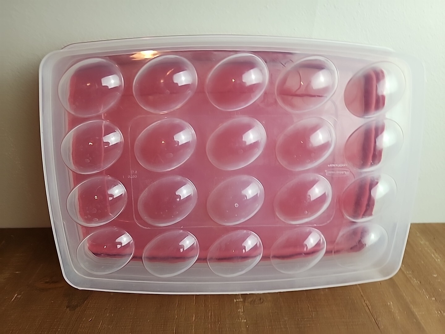 Rubbermaid Deviled Egg Keeper Tray Food Storage Container Hold 20 Eggs Red