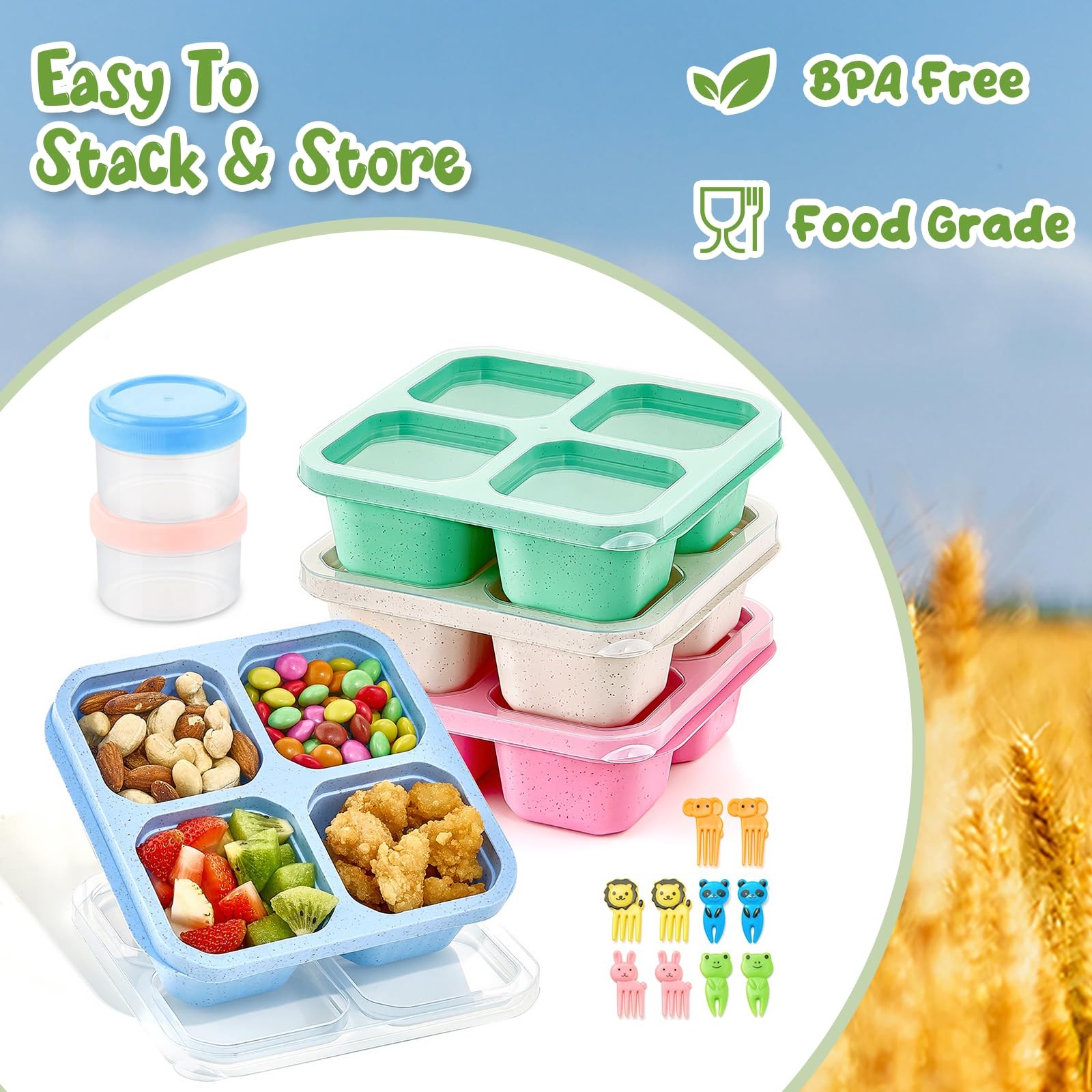 Bento Snack Boxes 4 Pack, Boxes, Wheat (Green/Blue/Pink/Beige)