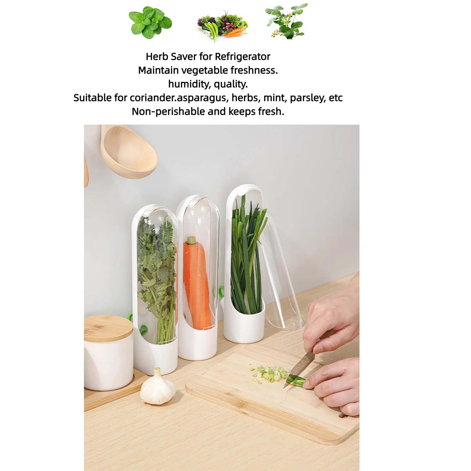 Ristpal 3Pack Herb Saver for Refrigerator for Cilantro, Parsley, Asparagus, M…