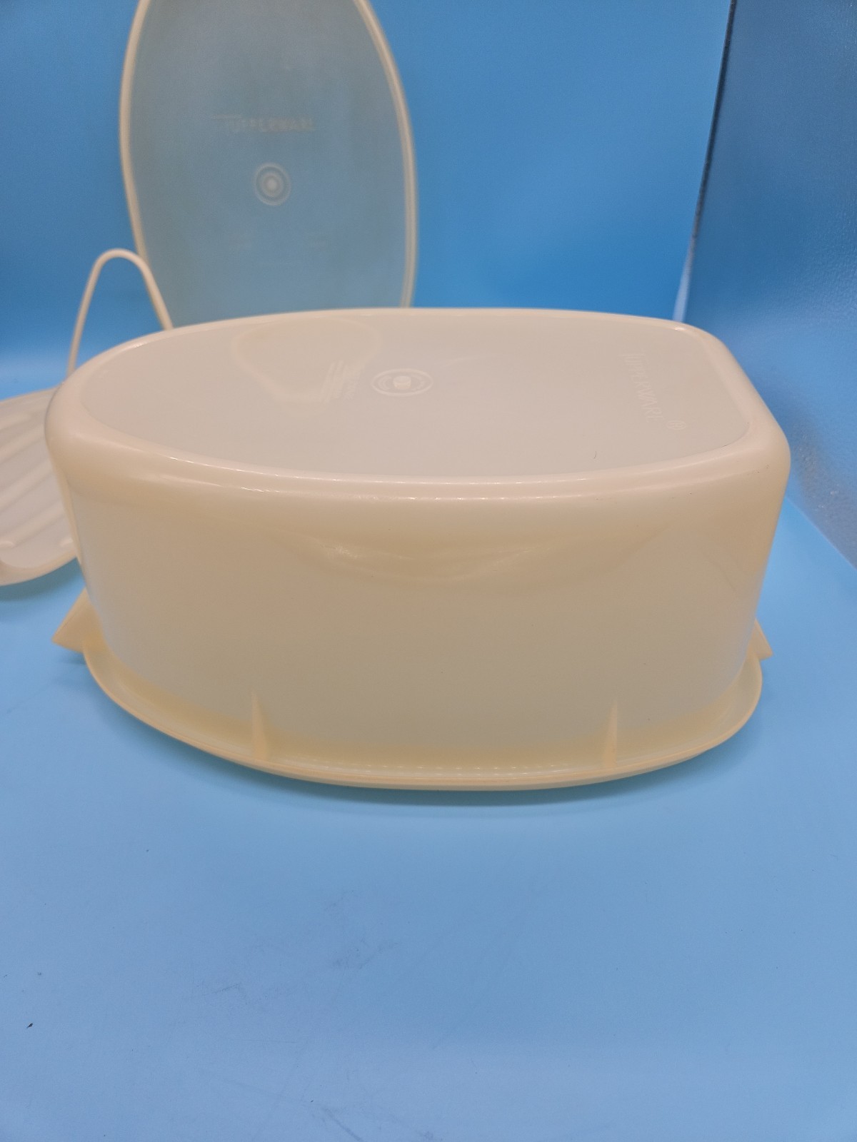 VTG 488 Tupperware Roast Flavor Saver Container Sheer White Oval with Lid & Rack