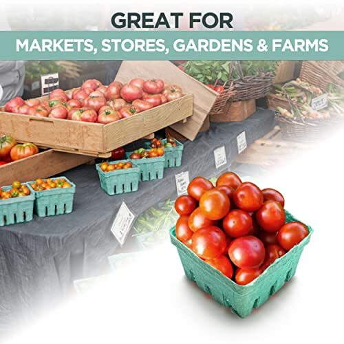 [44 Pack] Pint Green Molded Pulp Fiber Basket for Fruit and Vegetable