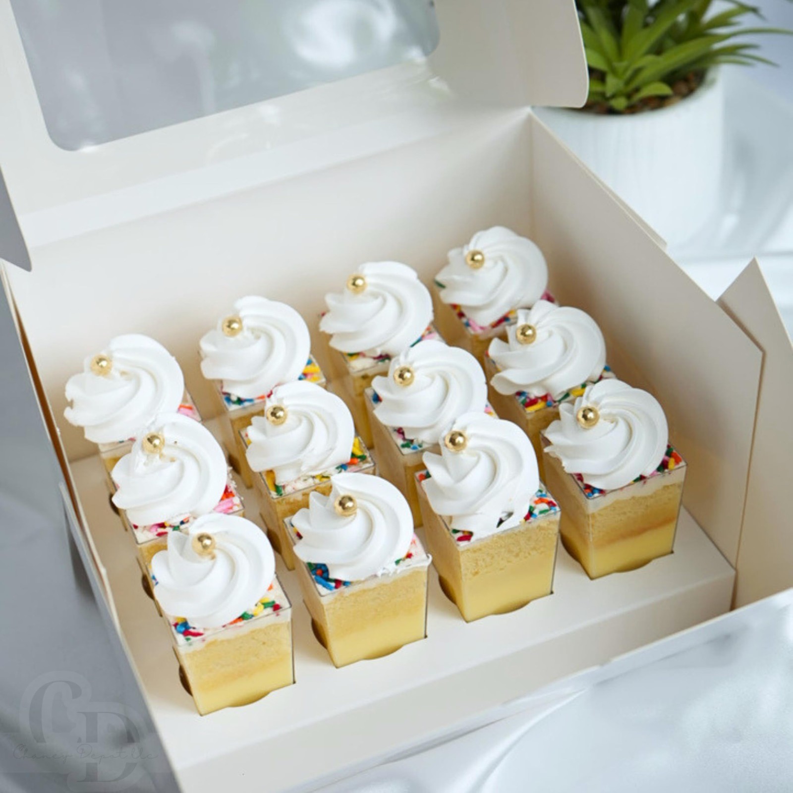 Dessert Box for 12; 3oz square and round cups- 10 pack