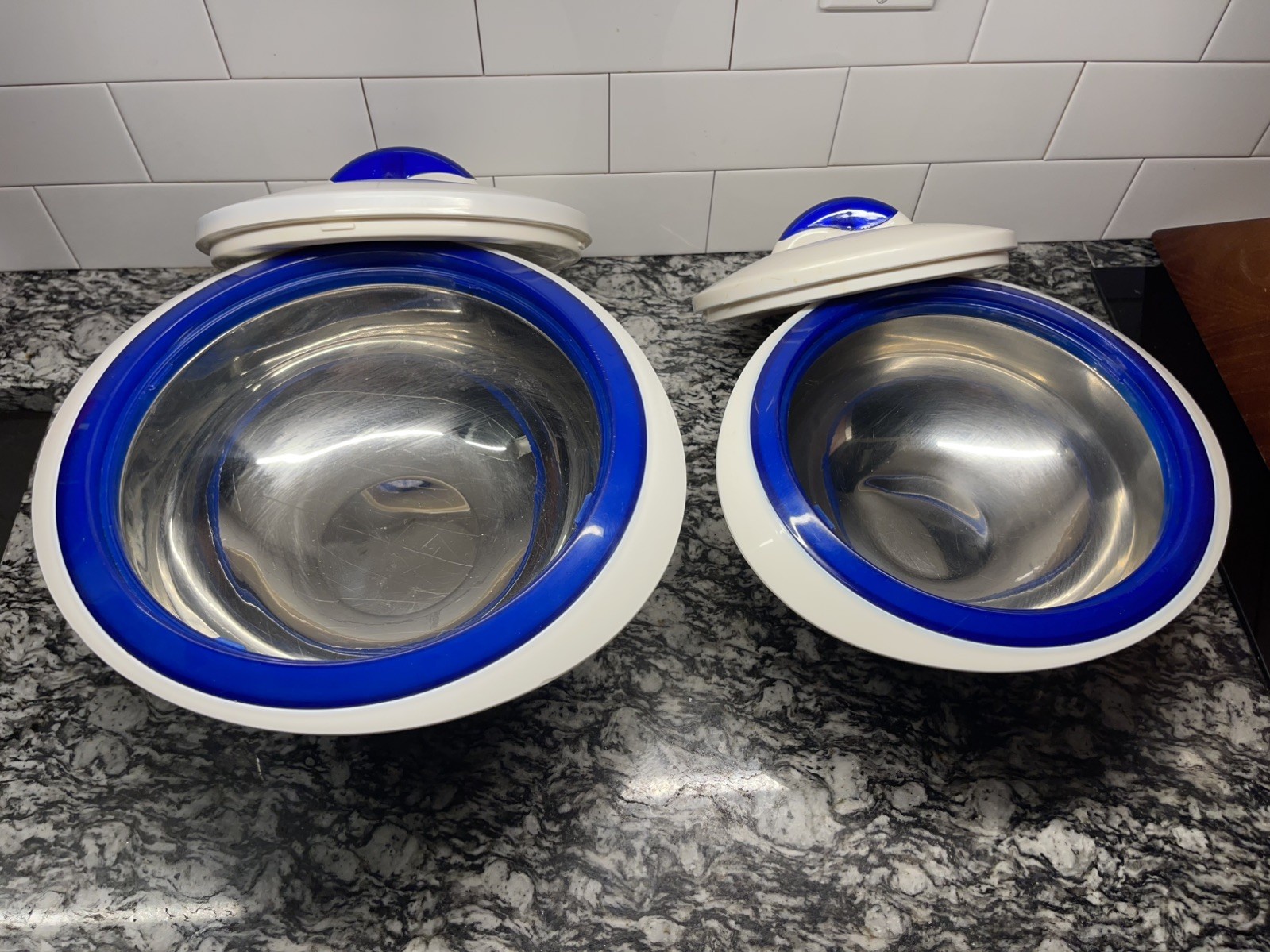Pinnacle Tokyo Thermo Insulated Food Container Blue & White Pre-Owned Lot Of 2