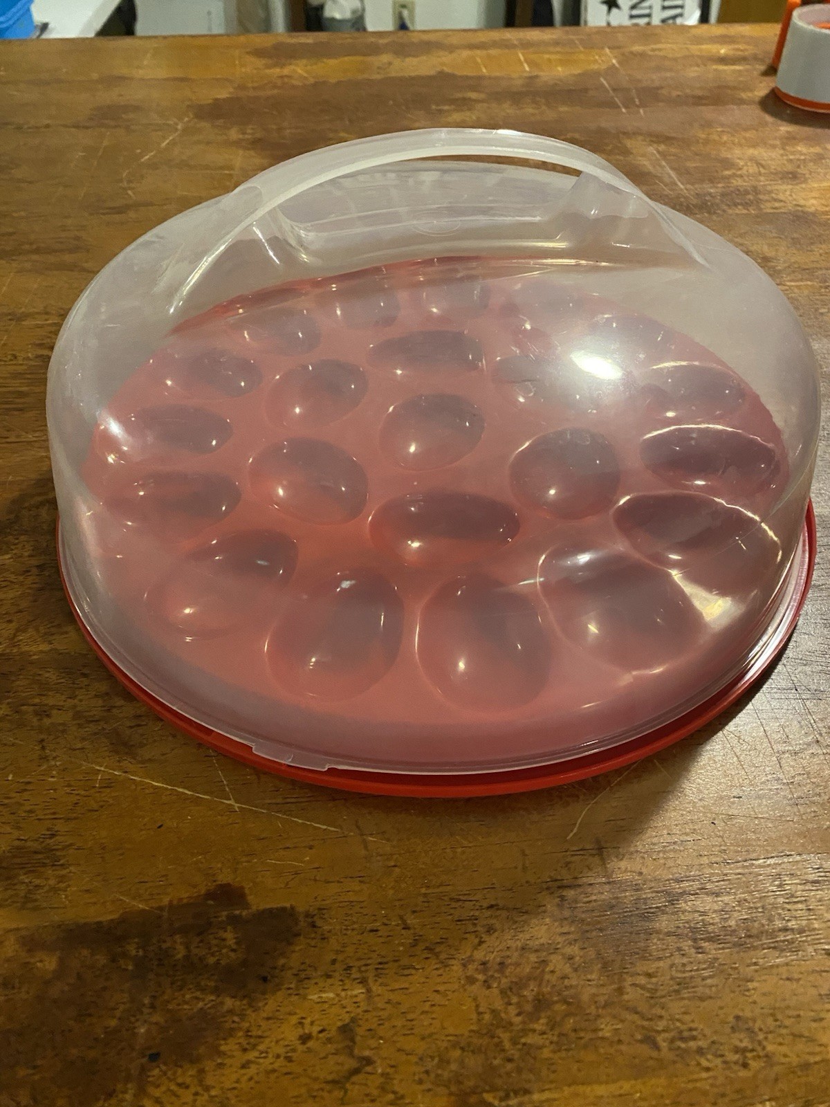 Rubbermaid Deviled Egg Holder Server Storage Keeper Container with Lid