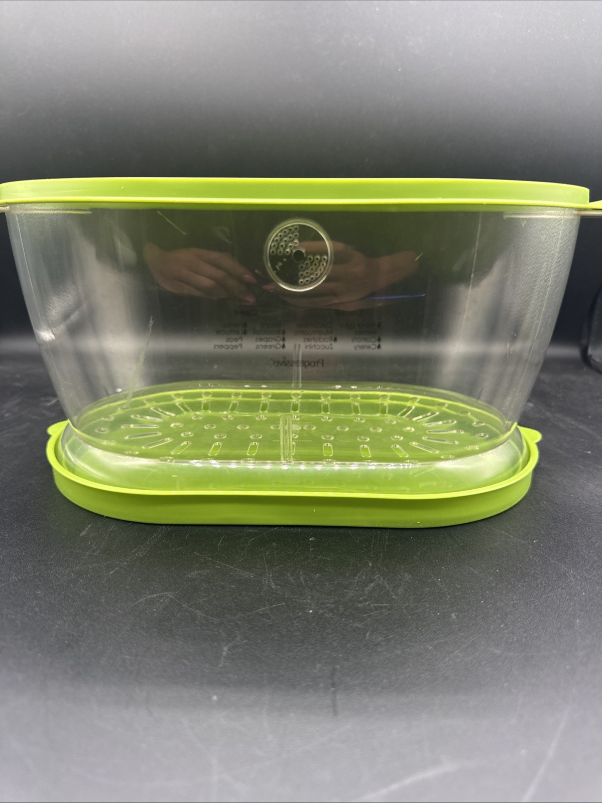 Progressive Lettuce/Vegetable Keeper/Colander, 4.7 Quarts, Green Preowned