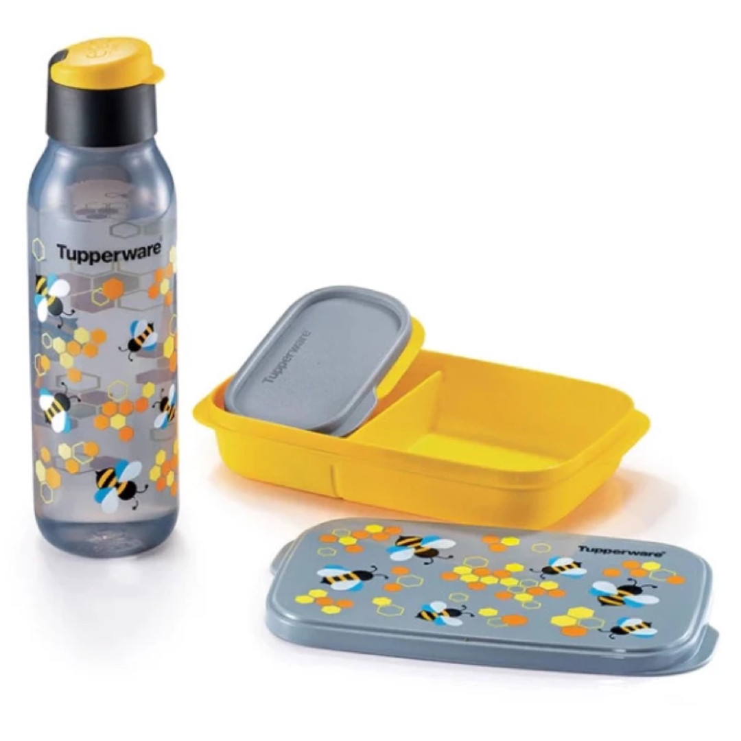 Tupperware Whimsical Garden Lunch Box Set Water Bottle BPA Free Cute