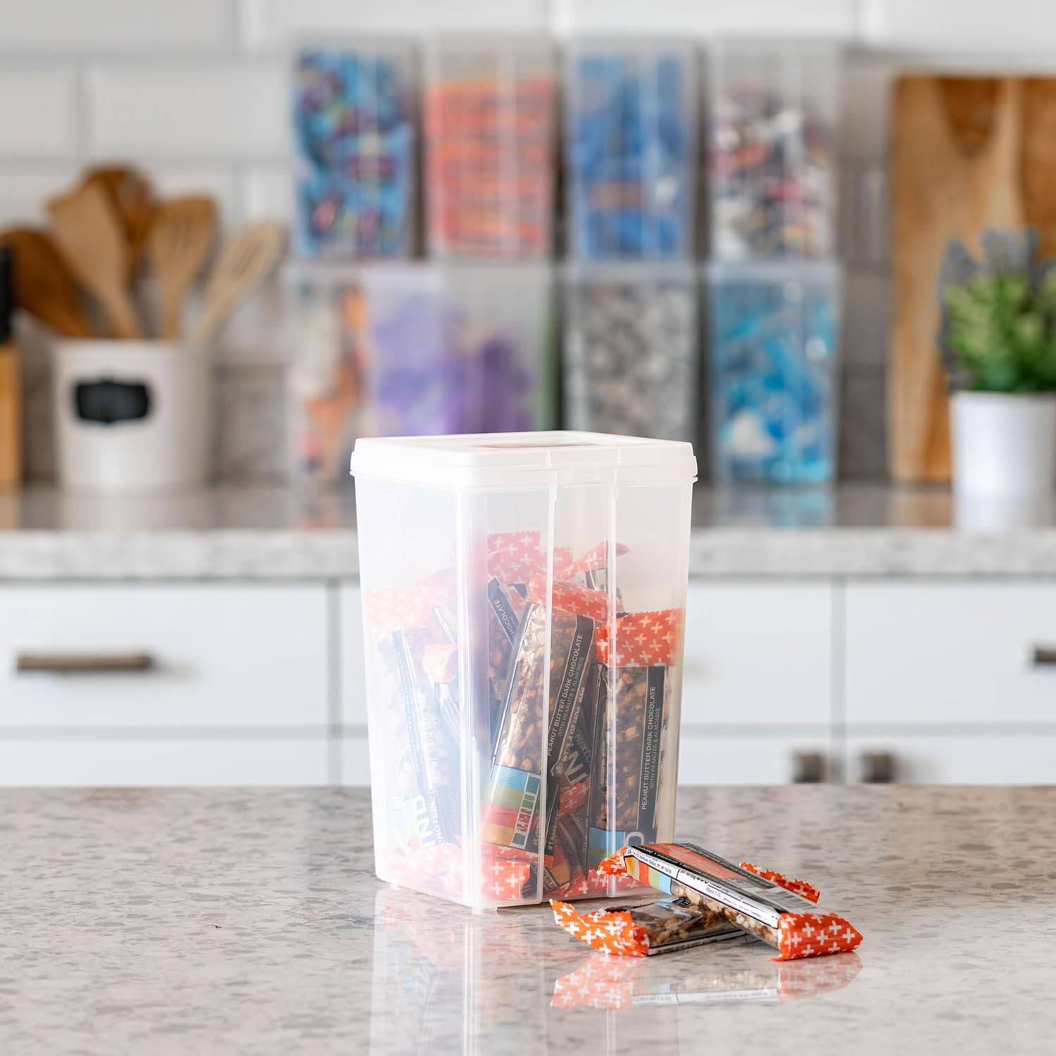 Vertical Plastic Flip Top Storage Containers Bins with Lids for Pantry, Home, Of
