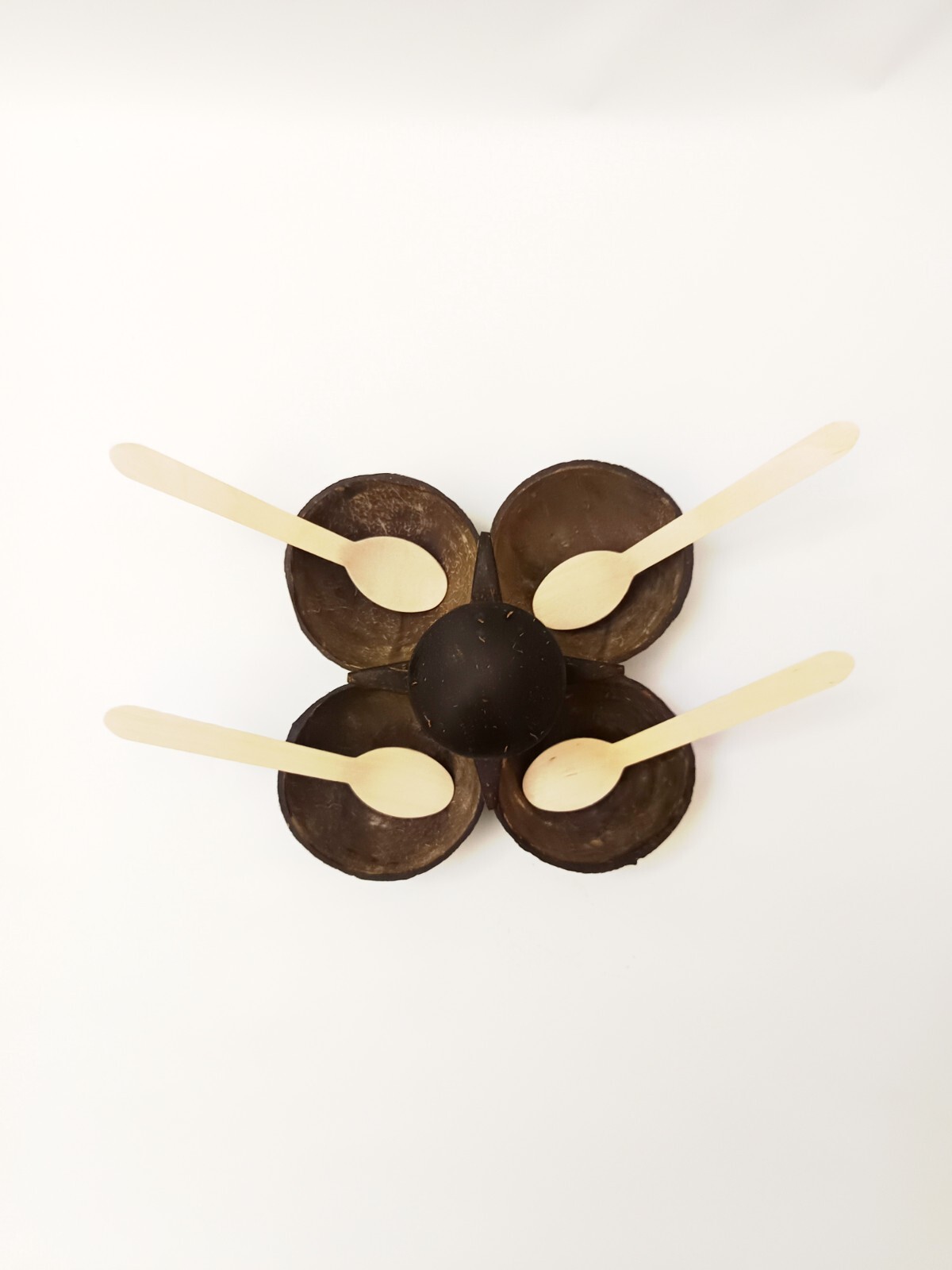 4 in 1 Coconut Shell Thook/Container