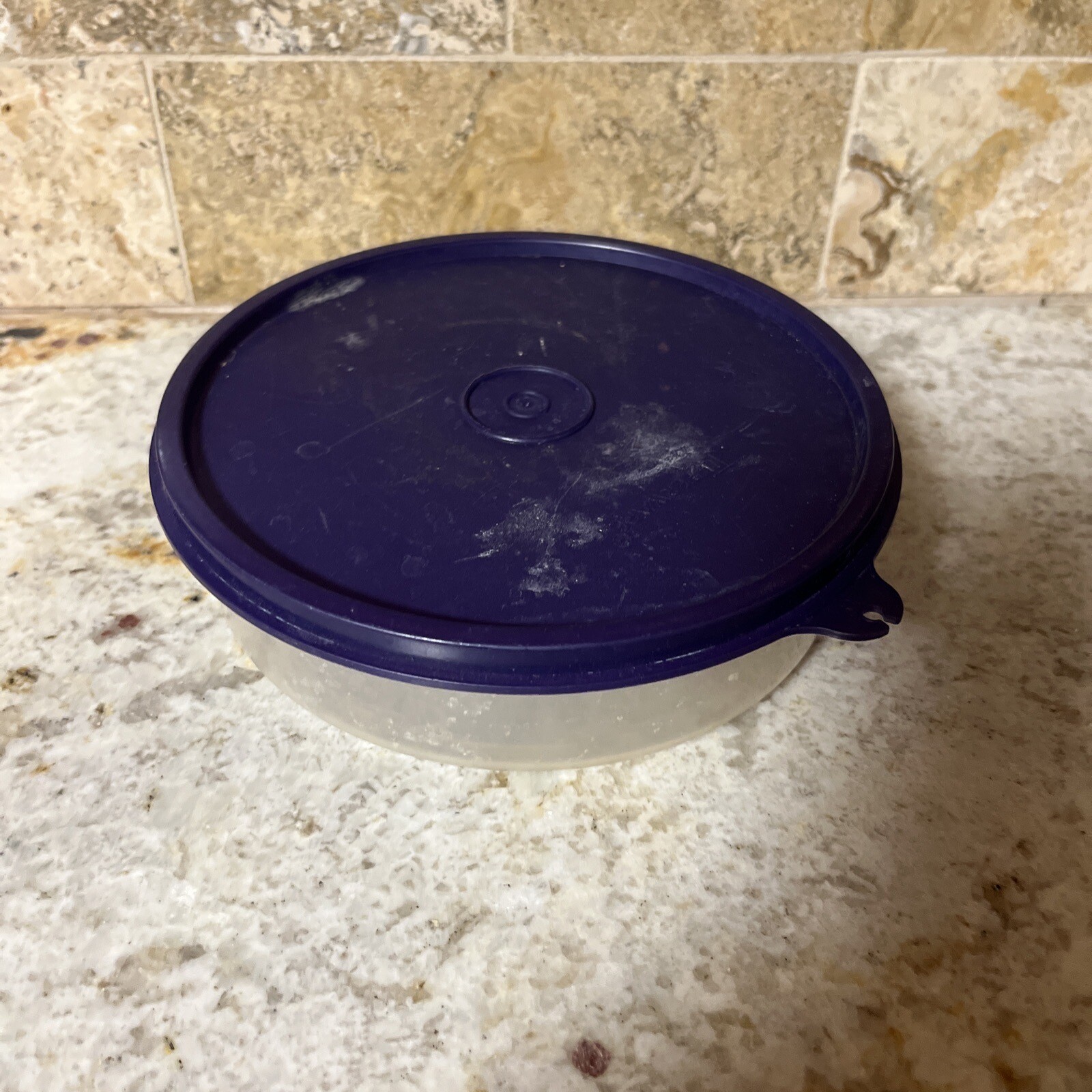 NEW Tupperware Clear Cereal Ice Cream Bowls with Purple Lids (SU106)