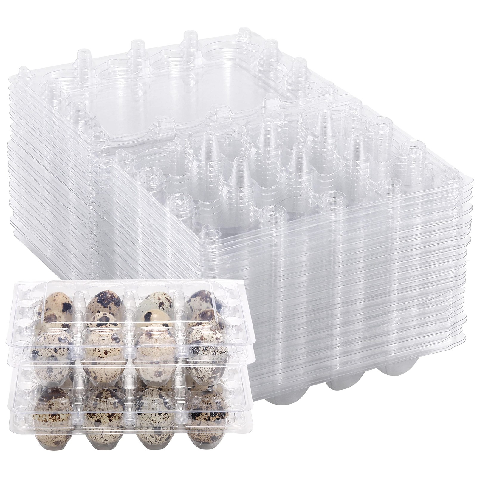 60 PCS Quail Egg Cartons 3×4 Style 12 Count Square Plastic Tray Refrigerator