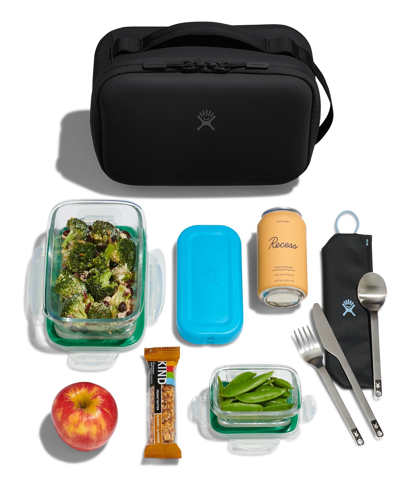Hydro Flask Carry Out Insulated Lunch Box Cooler – Adult Lunch Bag for Men & Wom