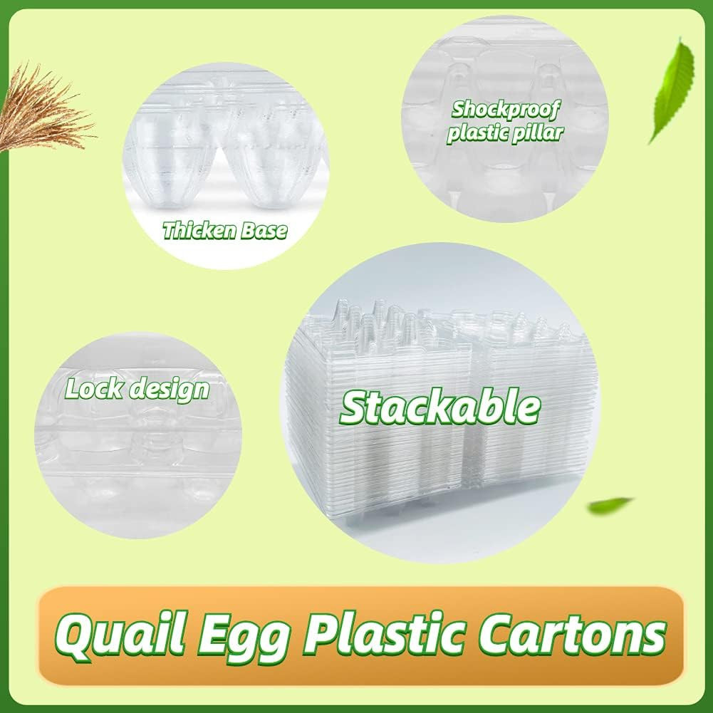 50 Pcs Quail Egg Cartons,12 Grids Small Egg Storage Holders,Quail Eggs Bulk Cart